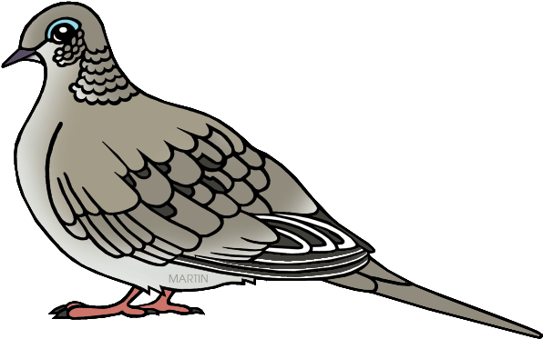 State Symbol Of Peace Of Wisconsin - Mourning Dove Clipart (648x399)