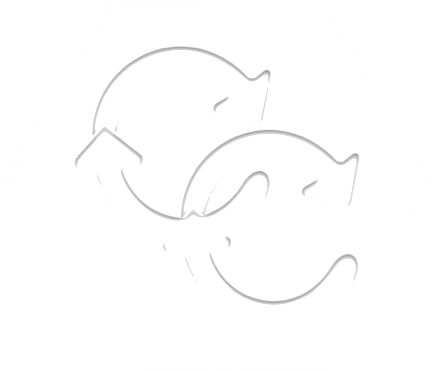 College Collections, Llc (478x478)