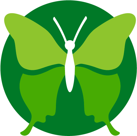 Butterfly Dating Coach Coaching Life Coach Clip Art - Butterfly Dating Coach Coaching Life Coach Clip Art (500x500)