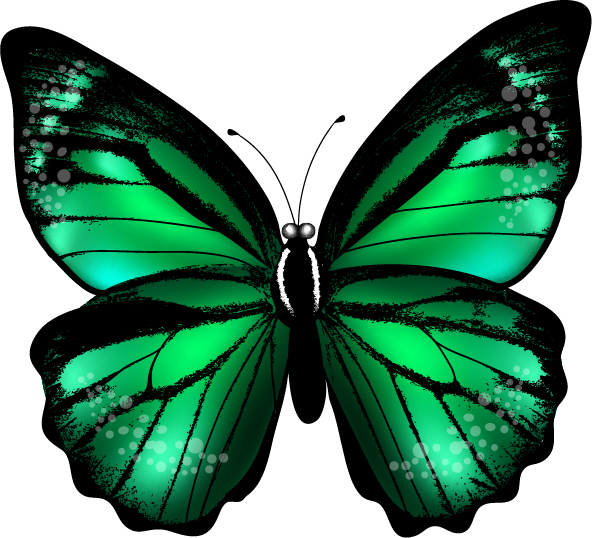 Faça A Minha Vida Ter Mais Cor E Borboletas Em Mim*✿ - Green Butterfly Tattoo Png (592x538)