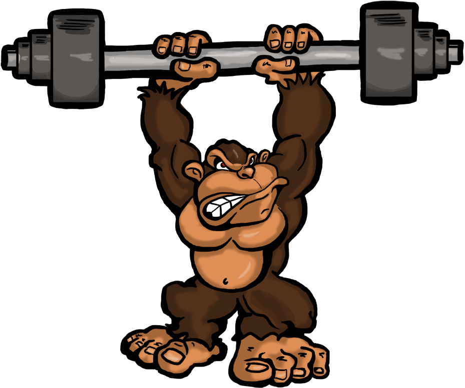 Gorilla Weights Color Full Rights - Gorilla (1024x1024)