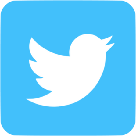 Picture - Red Twitter Logo Png (447x447)
