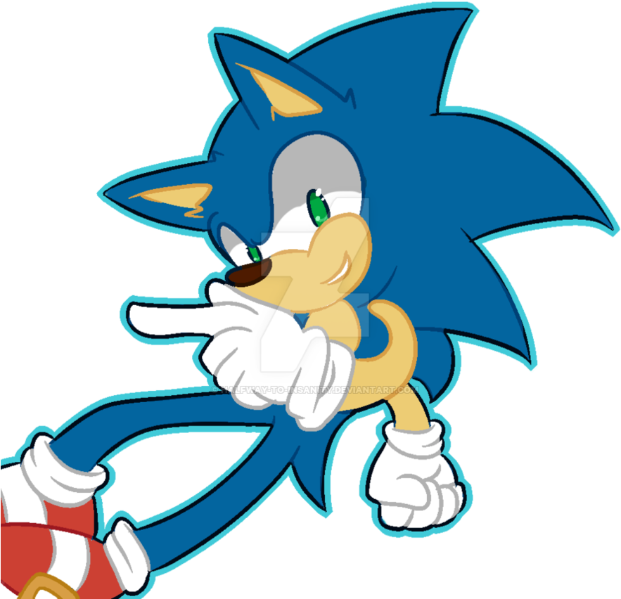 Sonic I Guess By Halfway To Insanity - Cartoon (894x894)