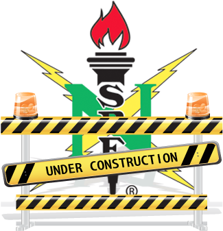 Faq National Society Of Black Engineers - National Society Of Black Engineers (358x368)