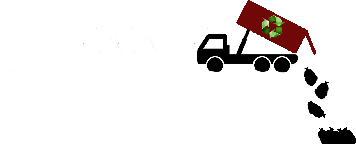 Experience - Vector Graphics (1360x495)