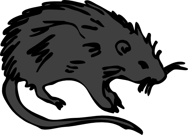 Storm By Jonny Heath - Burial Of The Rats [book] (600x433)