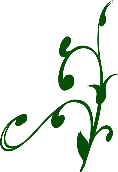 Creepy Clipart Vine - Clip Art (408x593)