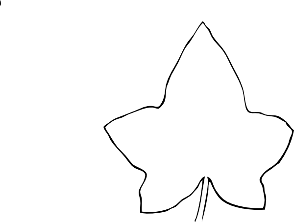 Empty Leaf Clip Art - Leaf (600x454)