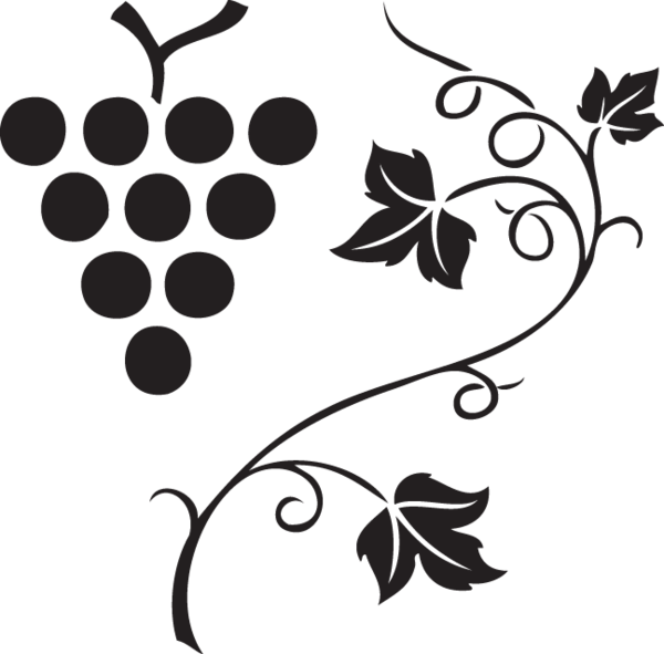 562 Grapes & Vine - Vineland Grapes (600x591)