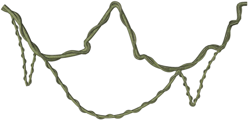 Jungle Vine Clipart Download - Jungle Branch Png (894x894)