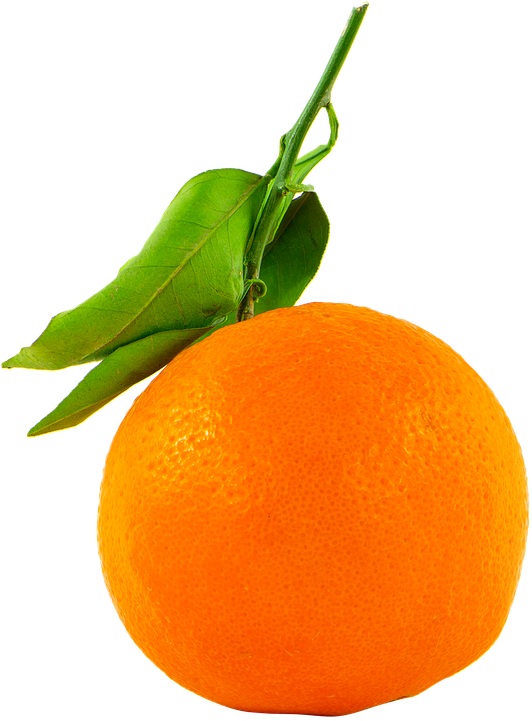 Fruit Pictures 17, Buy Clip Art - Transparent Fruit (542x720)