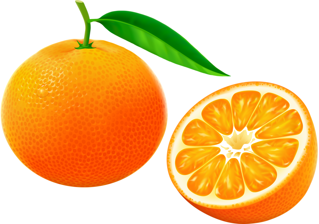Tangerine Fruit With Half And Flower On White Background - Imagenes De Naranja Y Melon (1024x720)