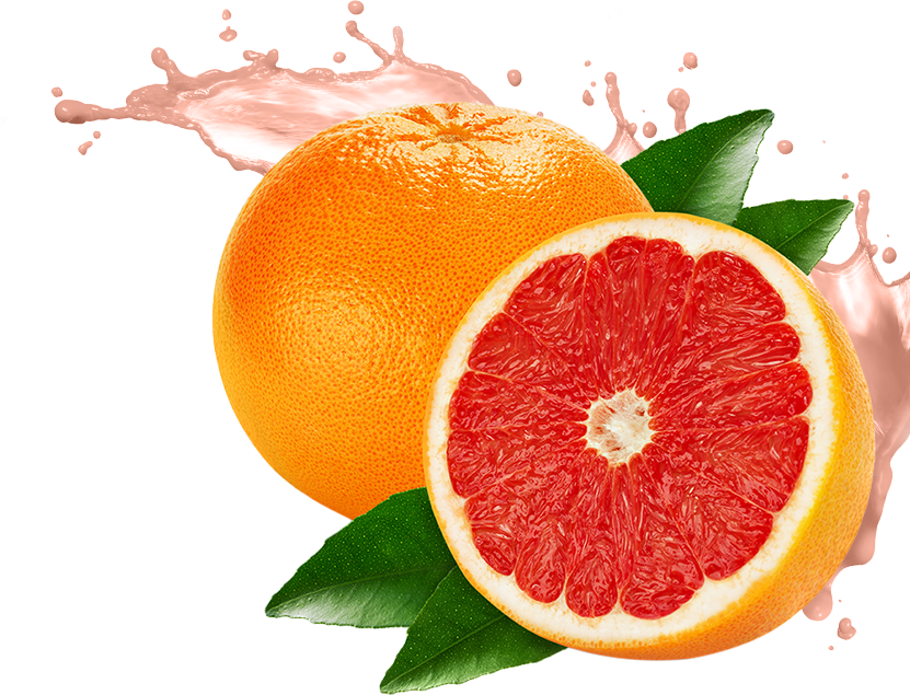 Grapefruit Clipart Bitter Food - Grapefruit Png (831x635)