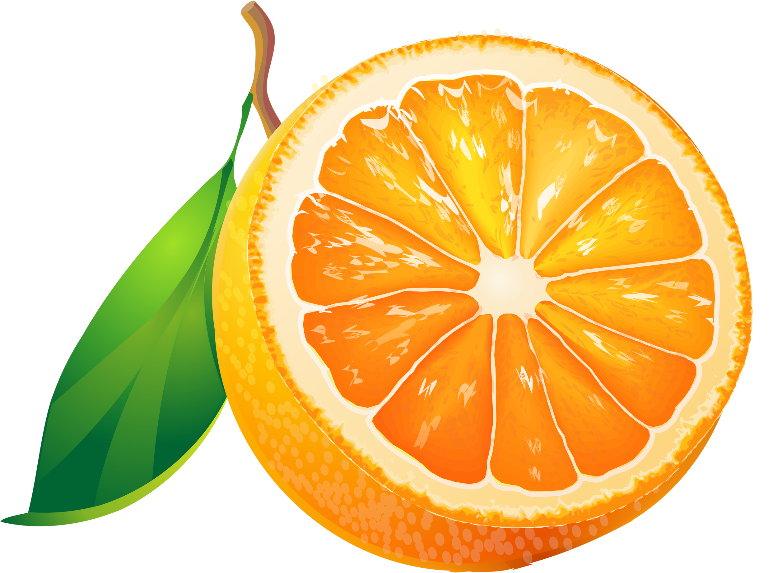 Grapefruit Clipart Bitter Food - Frutas Clip Art (2560x1891)