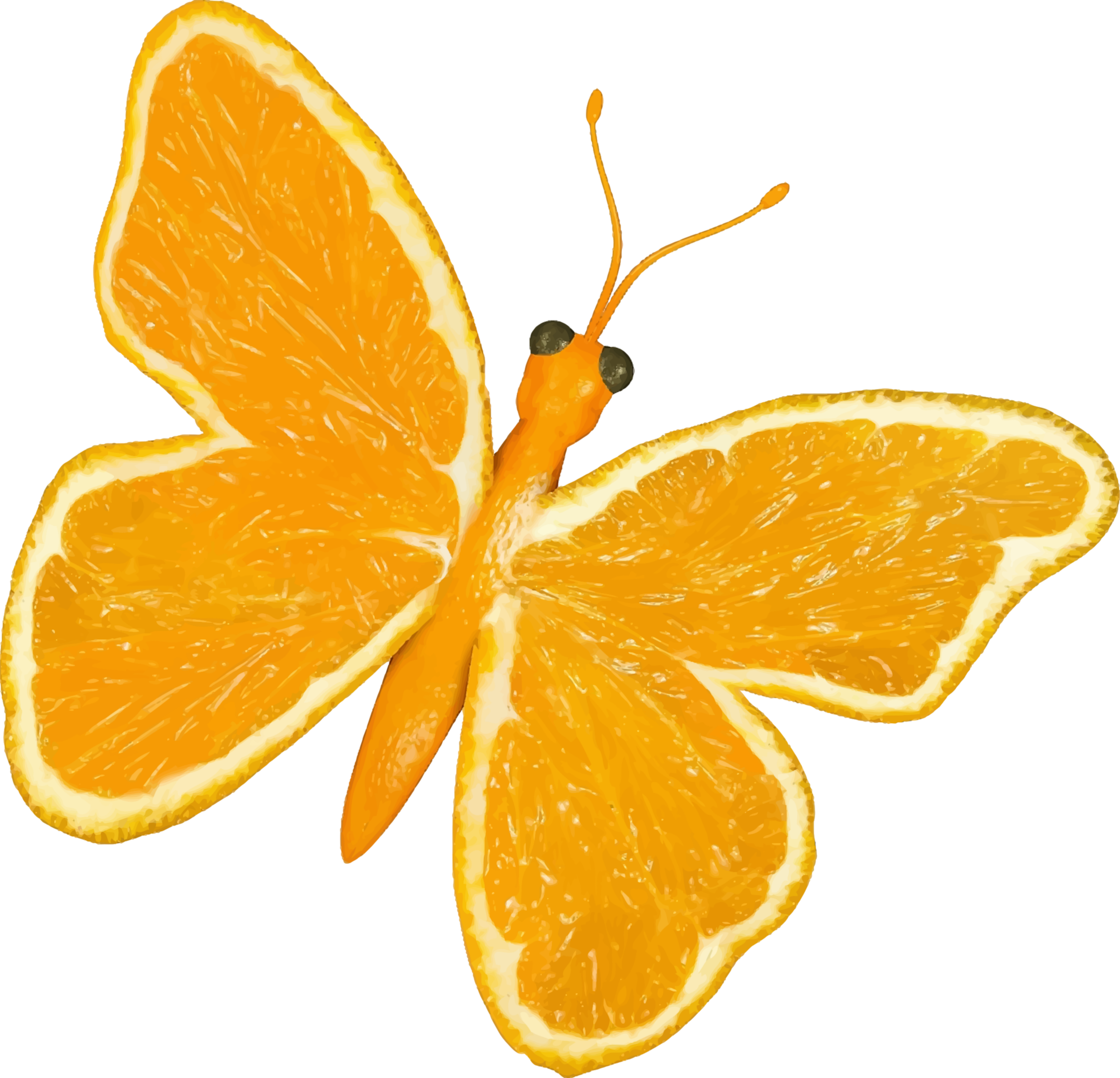 Big Image - Butterfly Oranges (2400x2312)