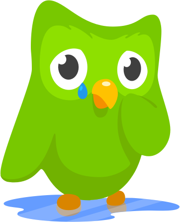 Duolingo Crying Owl (362x446)