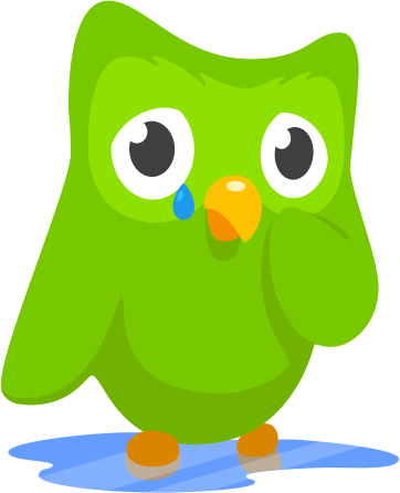Автор дуолинго. Совенок duolingo. дуолинго 2011. зеленая сова дуолинго. птичка дуолинго.