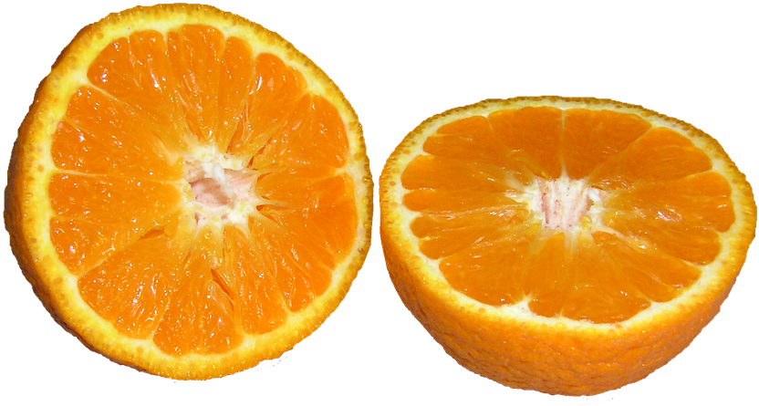 Pictures Of Citrus Fruits 13, Buy Clip Art - Orange Cut Png (960x586)