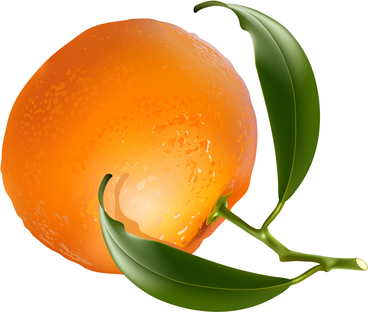 Vegetablesclip Artfruit - Tangerine (1600x1377)