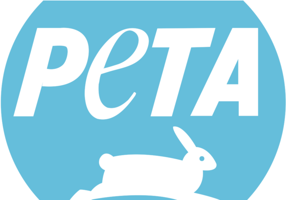 Peta Criticizes Northeastern's Use Of Glue Rat Traps - People For The Ethical Treatment Of Animals (600x400)
