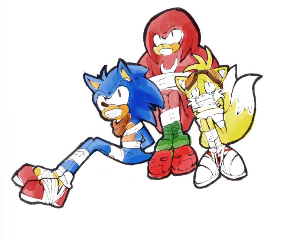 Sonic Boom Commission By Halfway To Insanity - Sonic Boom Tied Up (1015x787)