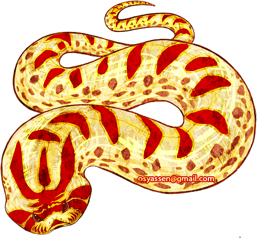 Western Hognose Albino Anaconda By Osy-design - Hognose Snake (600x545)