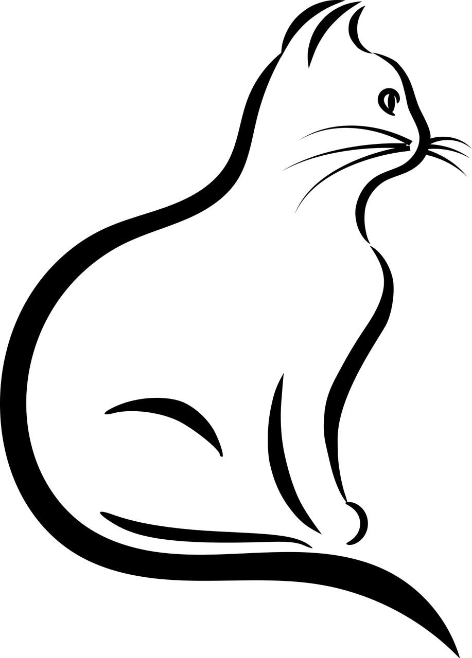 Picture - Cat Outline Png (917x1280)