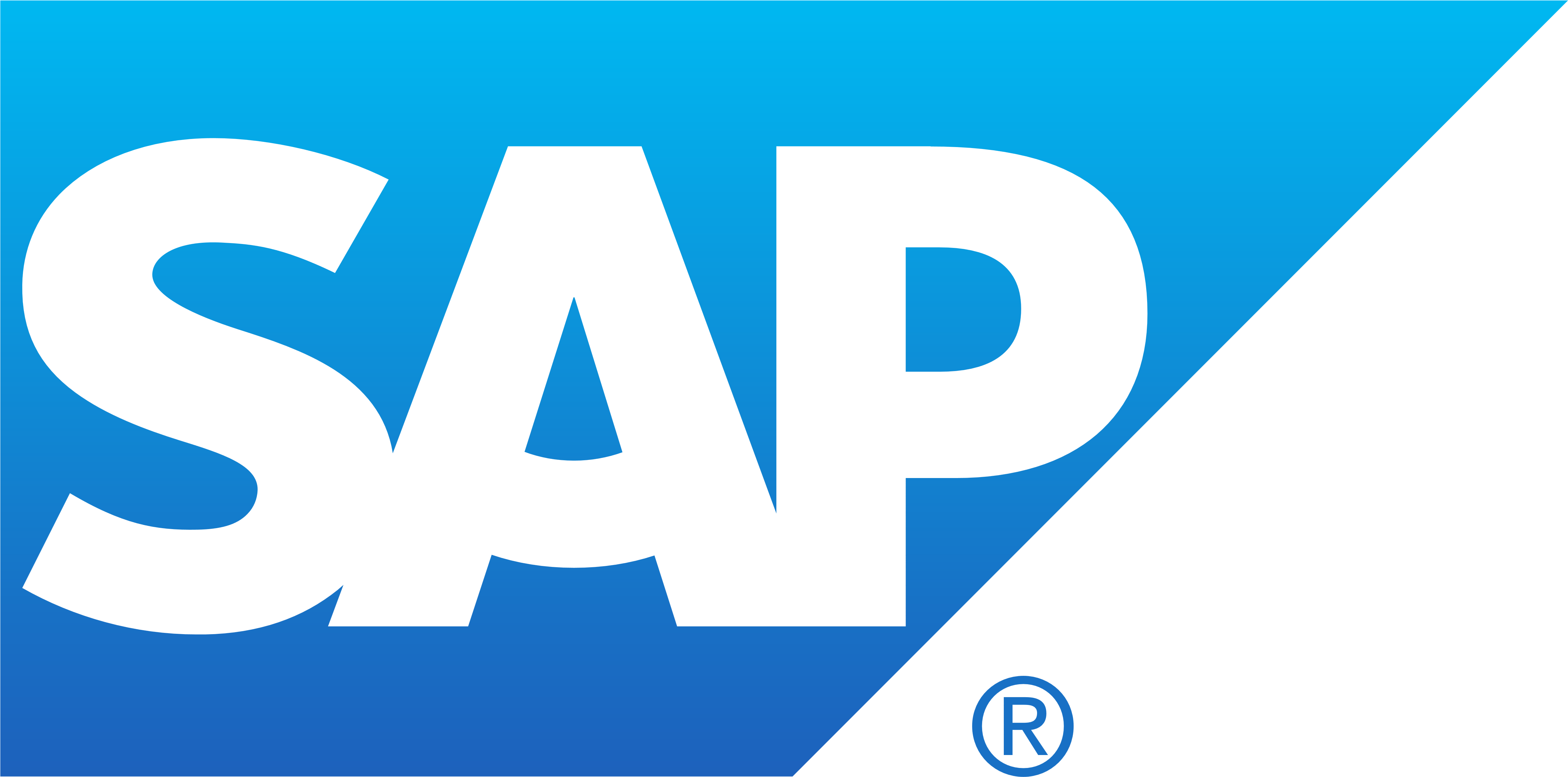 Sap Business Intelligence Roadmap Workshop - Sap Logo Png (5000x2546)