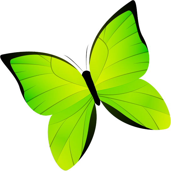 Image Is Not Available - Laundry Detergent (545x544)