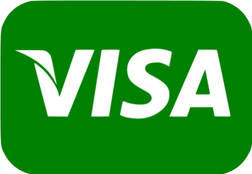Visa Gray Logo (512x512)
