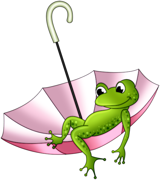 Dcd Prch Happy Frog - Grenouilles Rigolotes (535x600)
