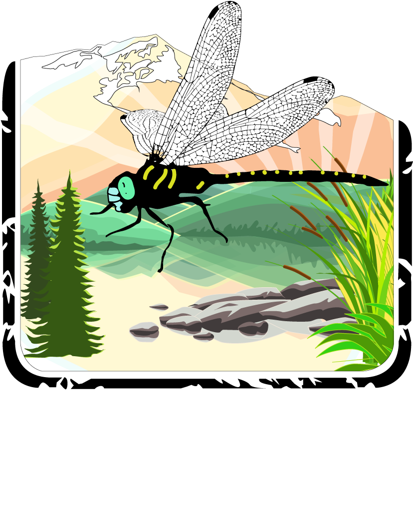 Shadow Darner Oktoberfest 25 Ibu/7 - Snowboarding (1000x1100)