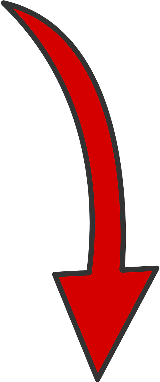 Louisiana Abortion Rate Falls For 3rd Straight Year - Pfeil Png (640x1280)