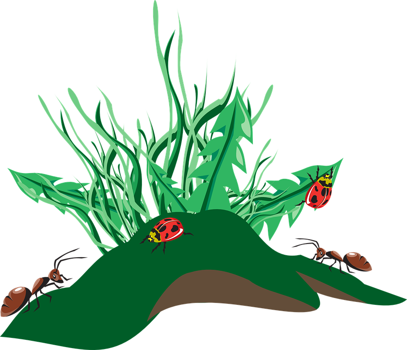 Hill Cliparts - Unkraut Png (837x720)