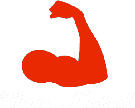 Muscle Icons Png Vector Free Icons And Png Backgrounds - Muscle Icon (450x450)