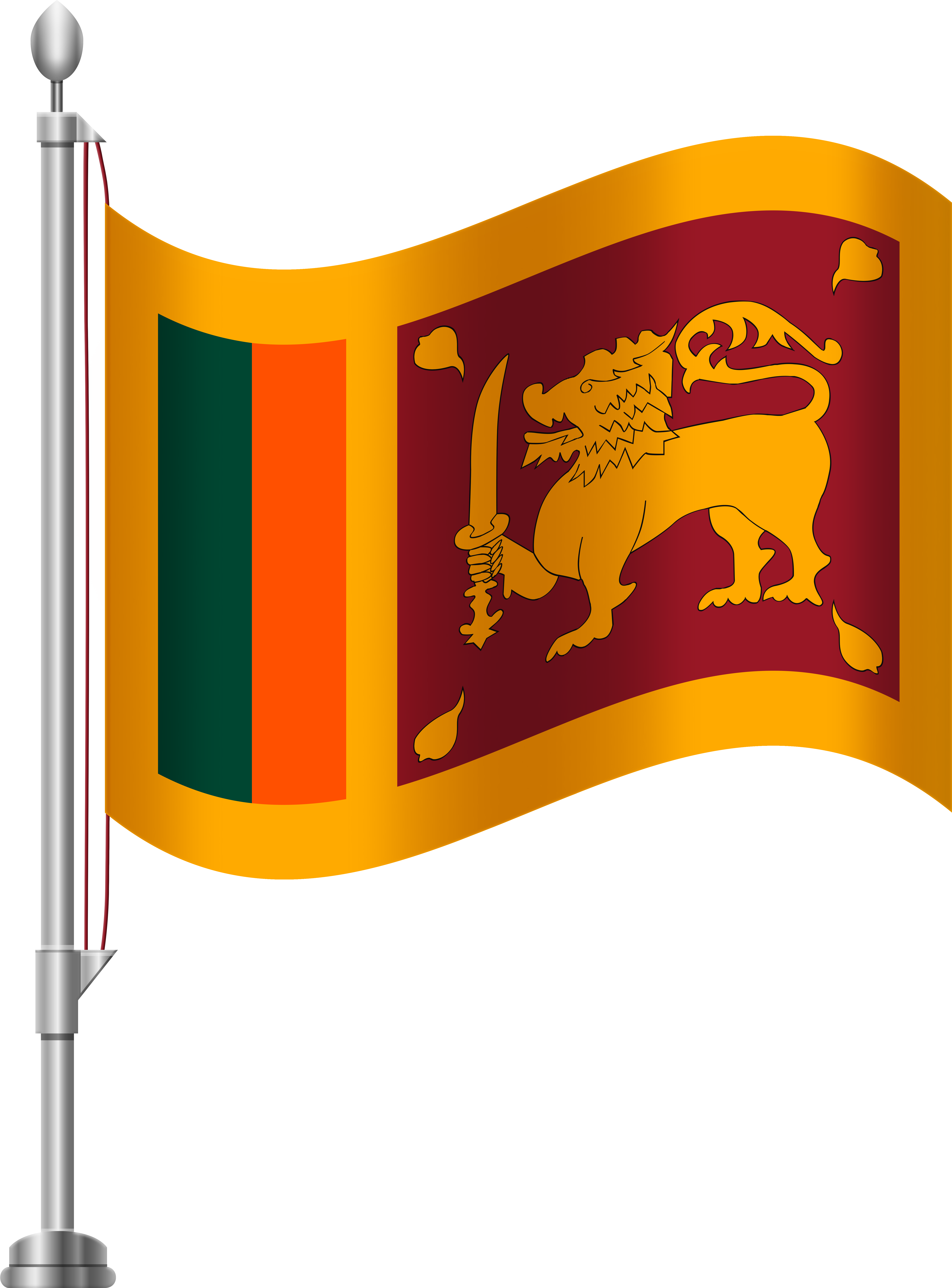 Wedding Money Trees Download - Wedding Money Trees Download (6141x8000)