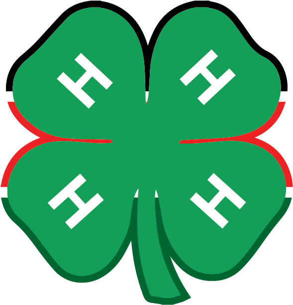 4-h Kenya - 4 H Logo Png (658x681)
