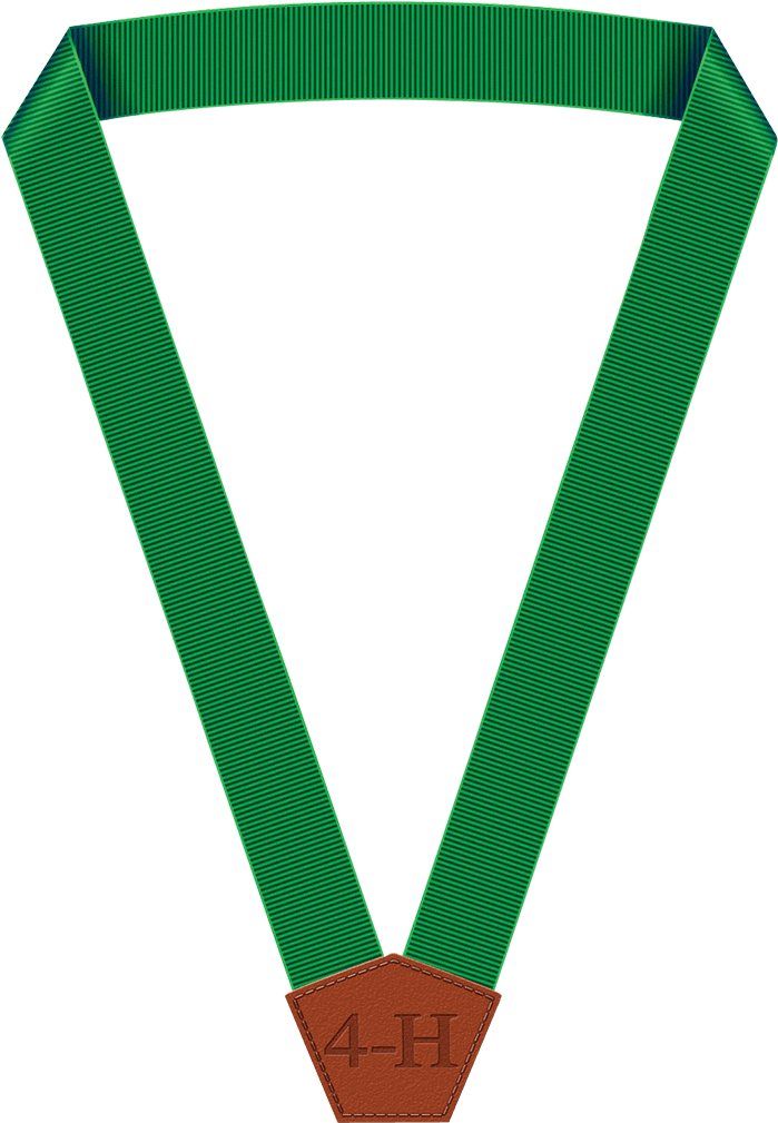 4-h Member Achievement Ribbon - Strap (1028x1028)