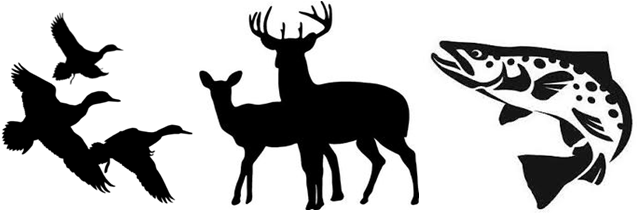 Call Janet Woodard 342-2214 For More Information - Buck And Doe Deer (707x308)