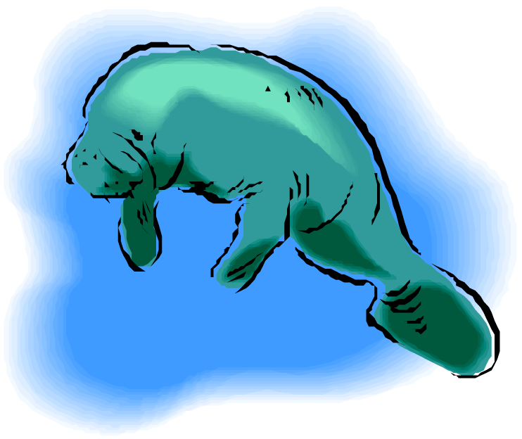 Manatee Clip Art - Manatee Clip Art Free (750x626)