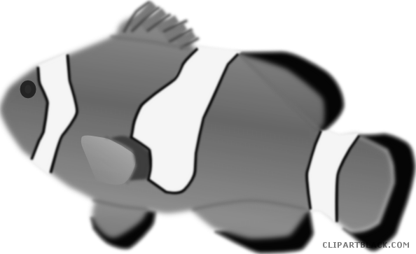 Aquarium Fish Animal Free Black White Clipart Images - Clown Fish Transparent Background (594x363)