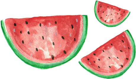 Watermelon Png Tumblr Life Is Beautiful - Simple Tumblr Transparents (480x312)