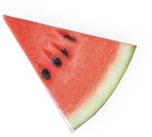 Bring Crazy Bowls To The Party - Watermelon (355x355)