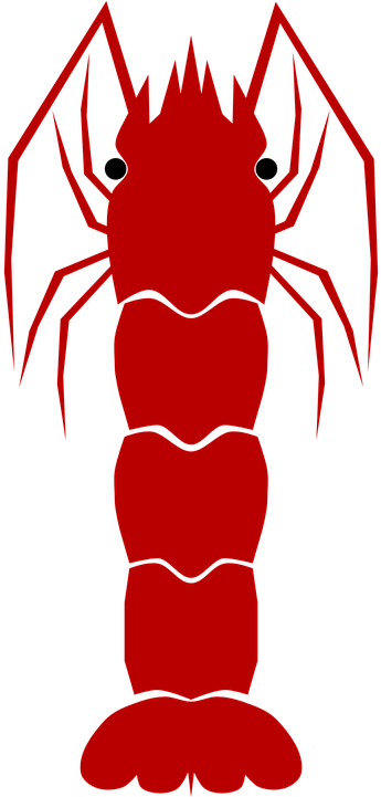 Crayfish Clipart 10, Buy Clip Art - Shrimp (360x720)