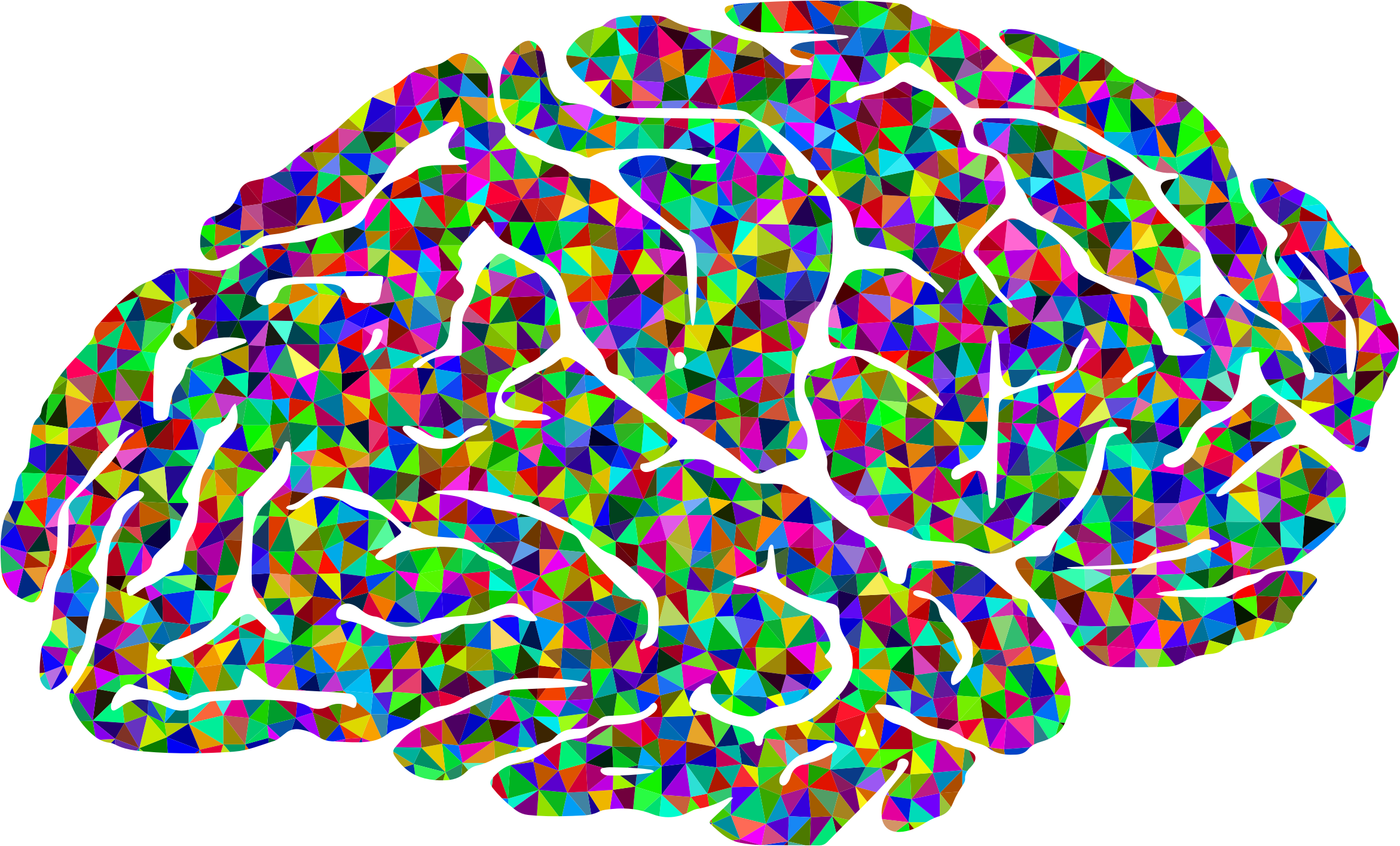 28 Collection Of Psychology Brain Clipart - Brain Neuroimaging (2342x1416)