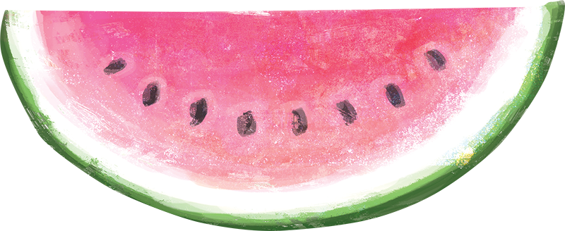 Digital Fruit Llustrations - Watermelon (800x328)