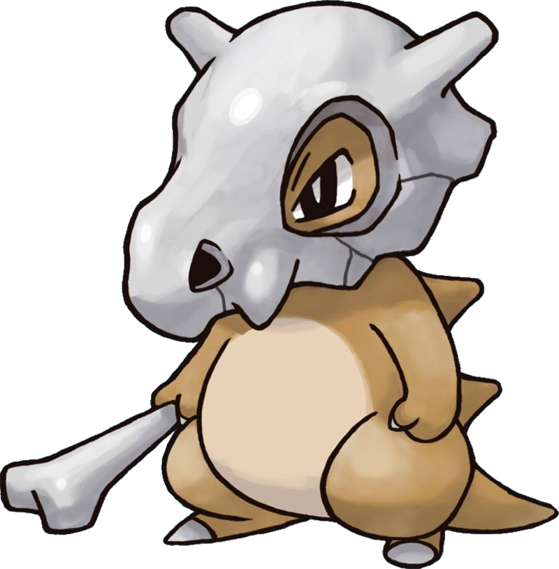 Image Via Pokémon Wiki - Pokemon Bone (800x815)
