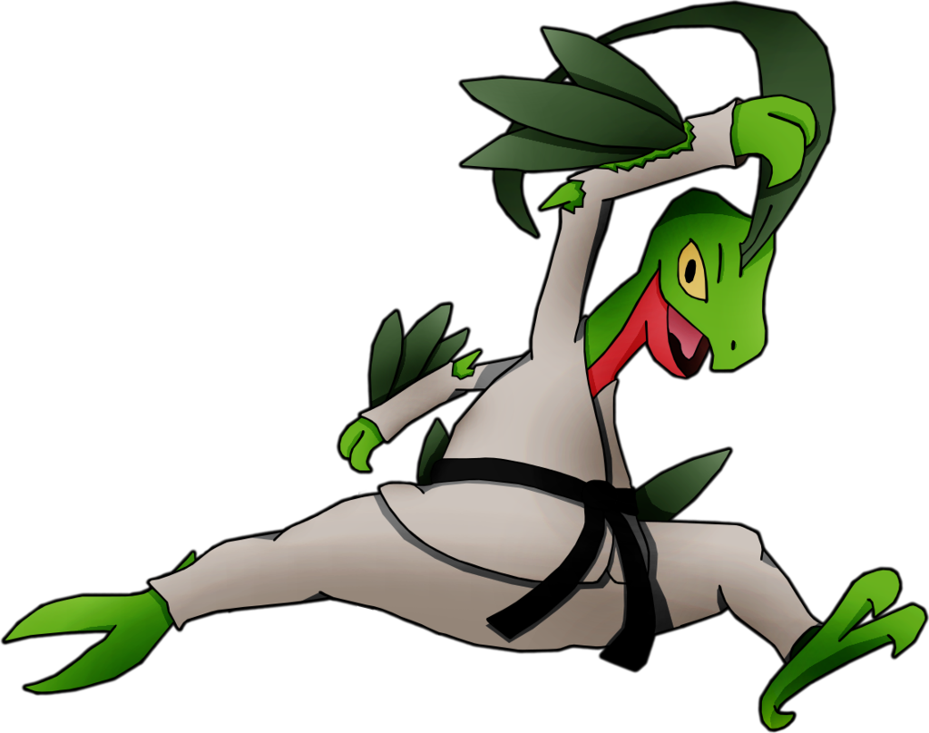 Black Belt Grovyle By Pokemon-traceur - Pokemon Black Belt (1024x808)