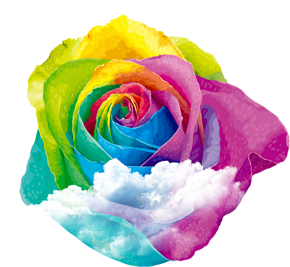 Rainbow Rose Centifolia Roses Garden Roses - Rose (937x938)