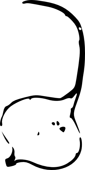 Clip Art (300x598)